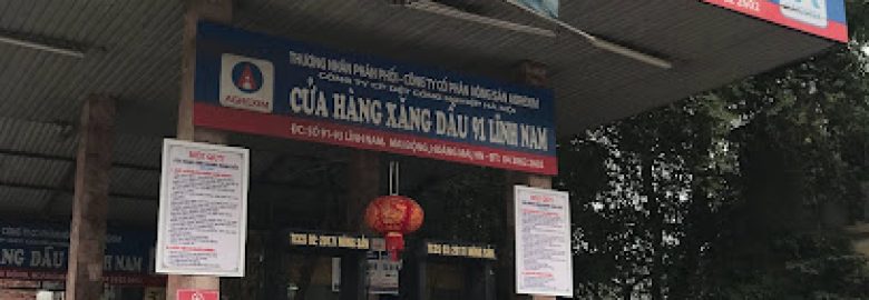 Trạm Xăng Dầu 91 Lĩnh Nam