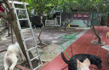 Anh Dũng Âu Cơ Kennel (nhận trông giữ chó, mèo)