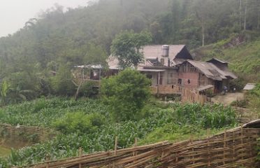 Ban Lien Forest Homestay