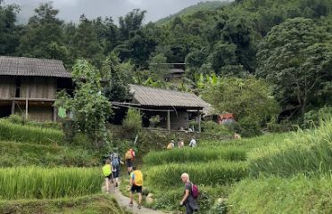 Big Tree Hmong Homestay