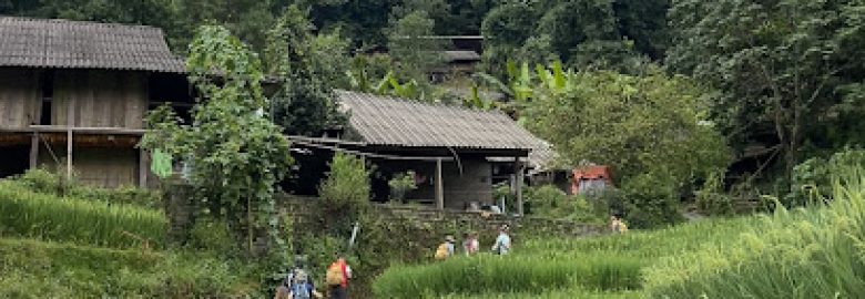 Big Tree Hmong Homestay