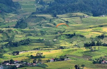 CALACà Hill Dền Sáng