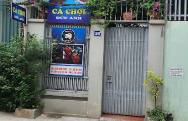 Cá Chọi Betta Đức Anh