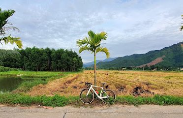 Cà phê view Đồng Lúa