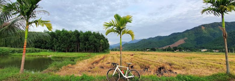 Cà phê view Đồng Lúa