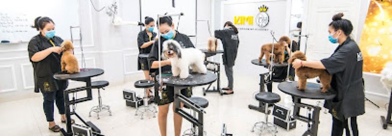 Cắt Tỉa Lông Chó Mèo – KIMI PET Grooming Salon