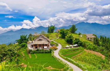 Chảo Mùi Líu Homestay