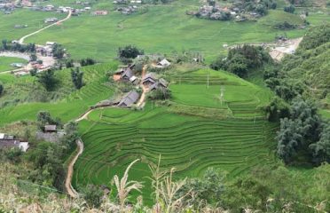 Cozy Home Sapa