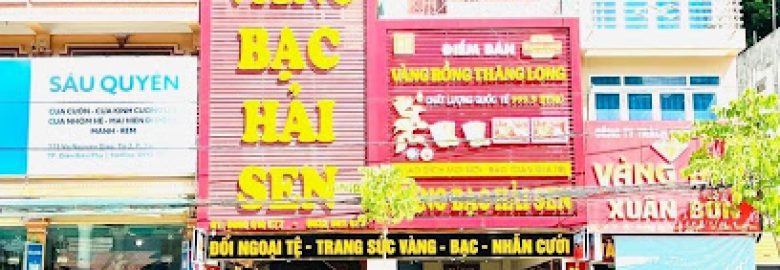 Đại Lý Bảo Tín Minh Châu : Vàng Bạc Hải Sen ( Đổi Ngoại Tệ )