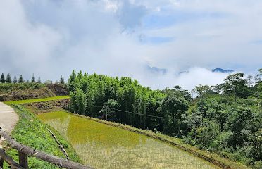 Dao Tà Chải Farmstay