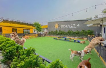 District 4 Pet Hotel Resort & Spa