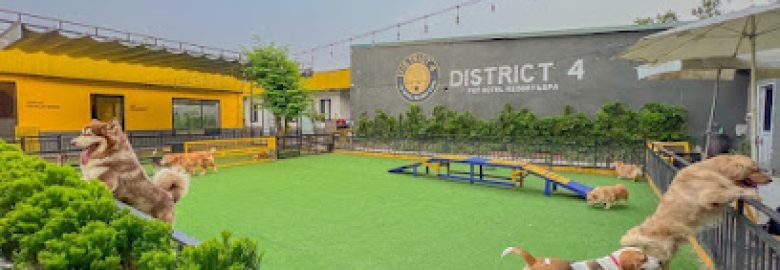 District 4 Pet Hotel Resort & Spa