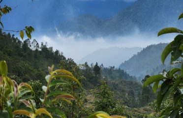 Giàng A Sính Homestay