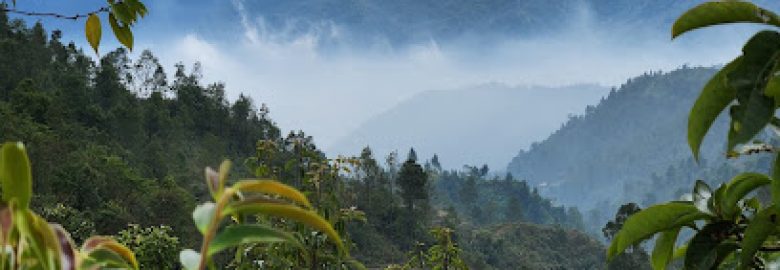 Giàng A Sính Homestay