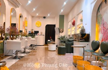 Hồng Phụng Các – Chuỗi gội đầu dưỡng sinh và massage trị liệu Trung Hoa