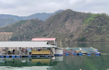 Làng Cá Thẳm Phé