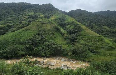 Lanka garden