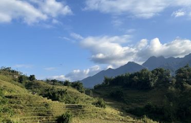 Ruộng bậc thang checkin- vn