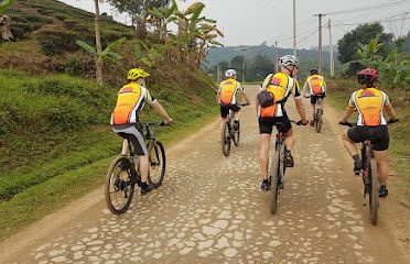 Sapa Cycling, Trekking, Homestay, Motorbike Tours Company