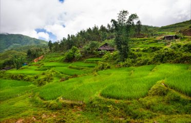 Sapa Green Valley