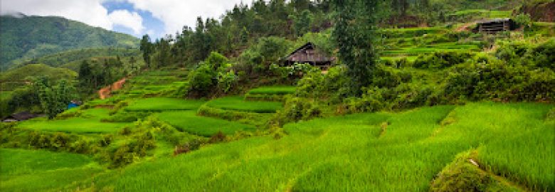 Sapa Green Valley