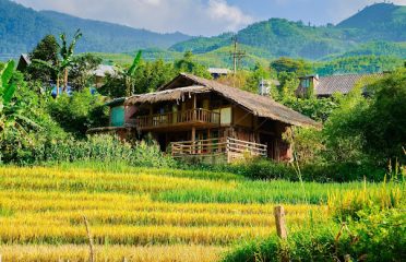 Sapa Tour Indigo Homestay