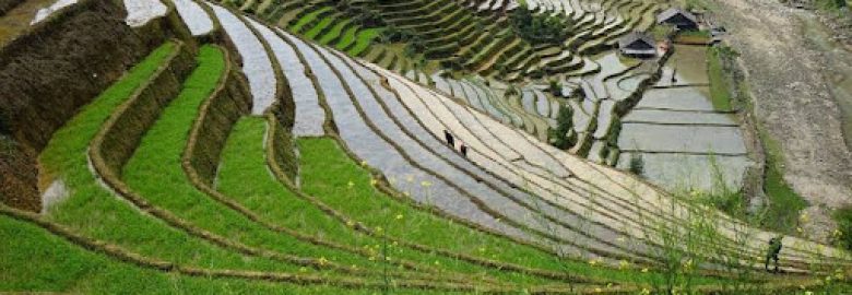 Tả Van Gỗ Homestay