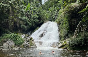 Thác một cây