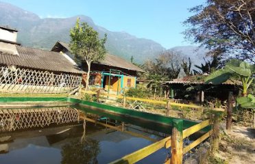 Vàng Kim Sìn Homestay