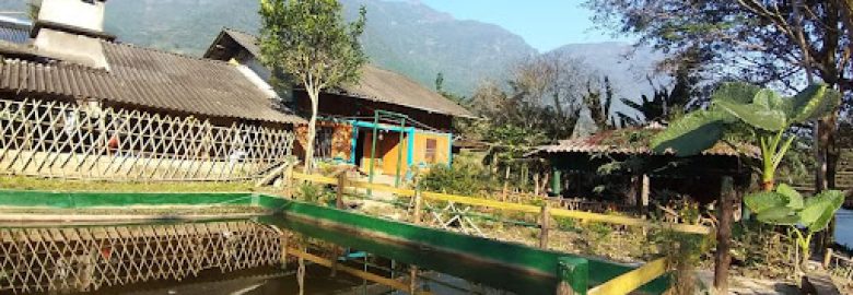 Vàng Kim Sìn Homestay