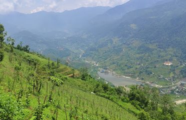 Viewpoint at the peak