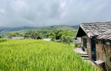 homestay Đào Thảnh