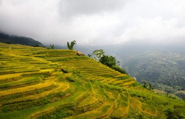 Điểm săn mây Ngải Thầu