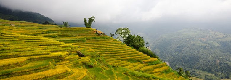 Điểm săn mây Ngải Thầu