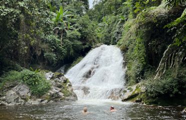 Khu du lịch Suối Mơ