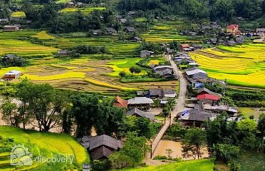 Laika Hotel Sapa