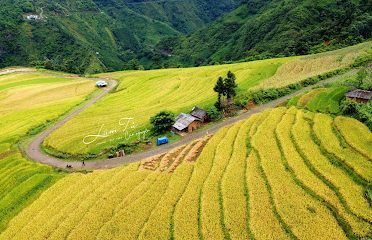 Ruộng bậc thang Khu Chu Lìn