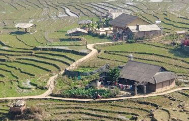 Sapa terraces