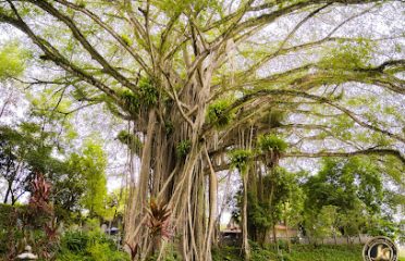 Upper Temple – Lao Cai