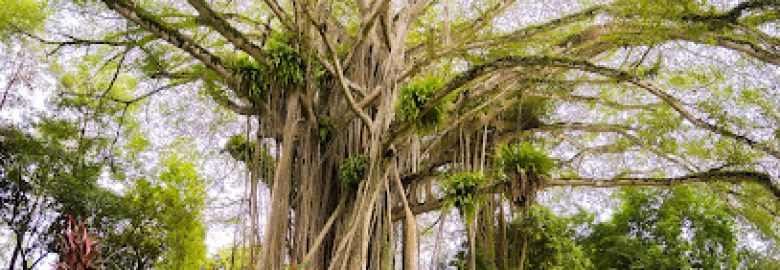 Upper Temple – Lao Cai